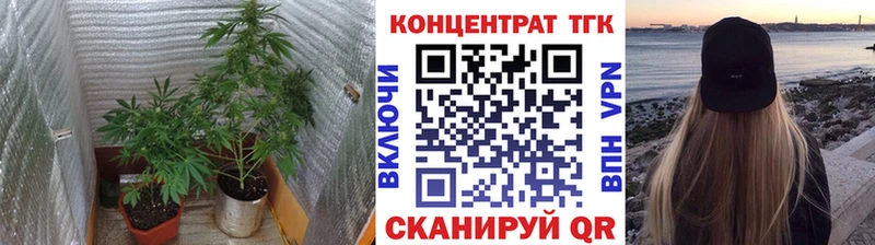 ТГК гашишное масло  kraken ONION  Никольск  продажа наркотиков 