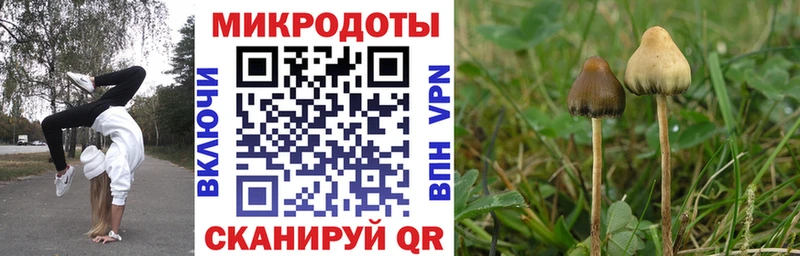 Псилоцибиновые грибы Psilocybine cubensis даркнет сайт Никольск